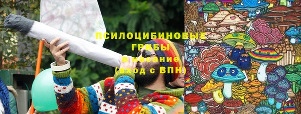 спайс Беломорск