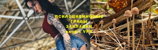 спайс Беломорск