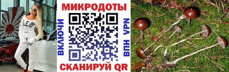 Галлюциногенные грибы GOLDEN TEACHER  закладки  Ершов 