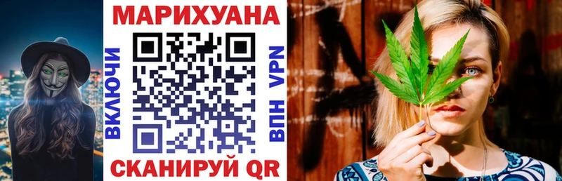 Каннабис план  дарк нет наркотические препараты  Ершов 